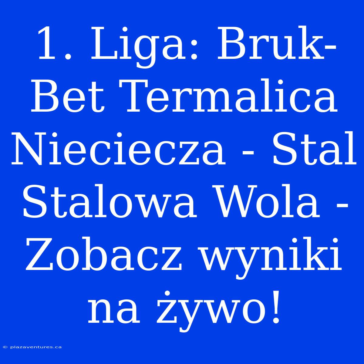 1. Liga: Bruk-Bet Termalica Nieciecza - Stal Stalowa Wola - Zobacz Wyniki Na Żywo!