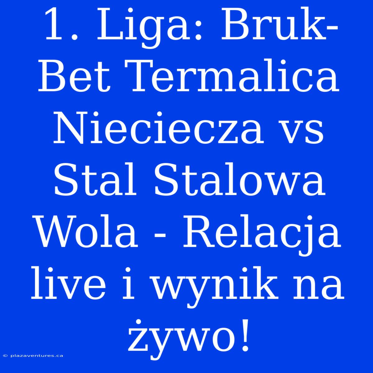 1. Liga: Bruk-Bet Termalica Nieciecza Vs Stal Stalowa Wola - Relacja Live I Wynik Na Żywo!