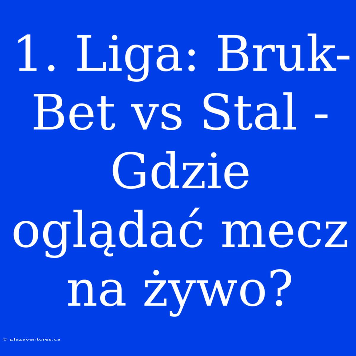 1. Liga: Bruk-Bet Vs Stal - Gdzie Oglądać Mecz Na Żywo?