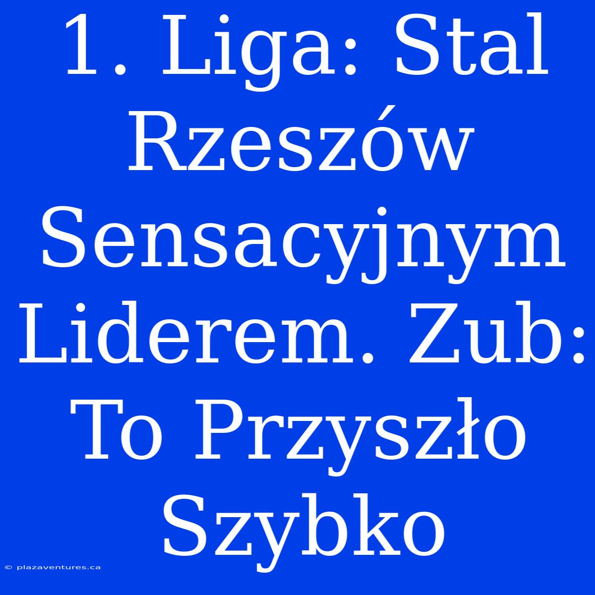 1. Liga: Stal Rzeszów Sensacyjnym Liderem. Zub: To Przyszło Szybko