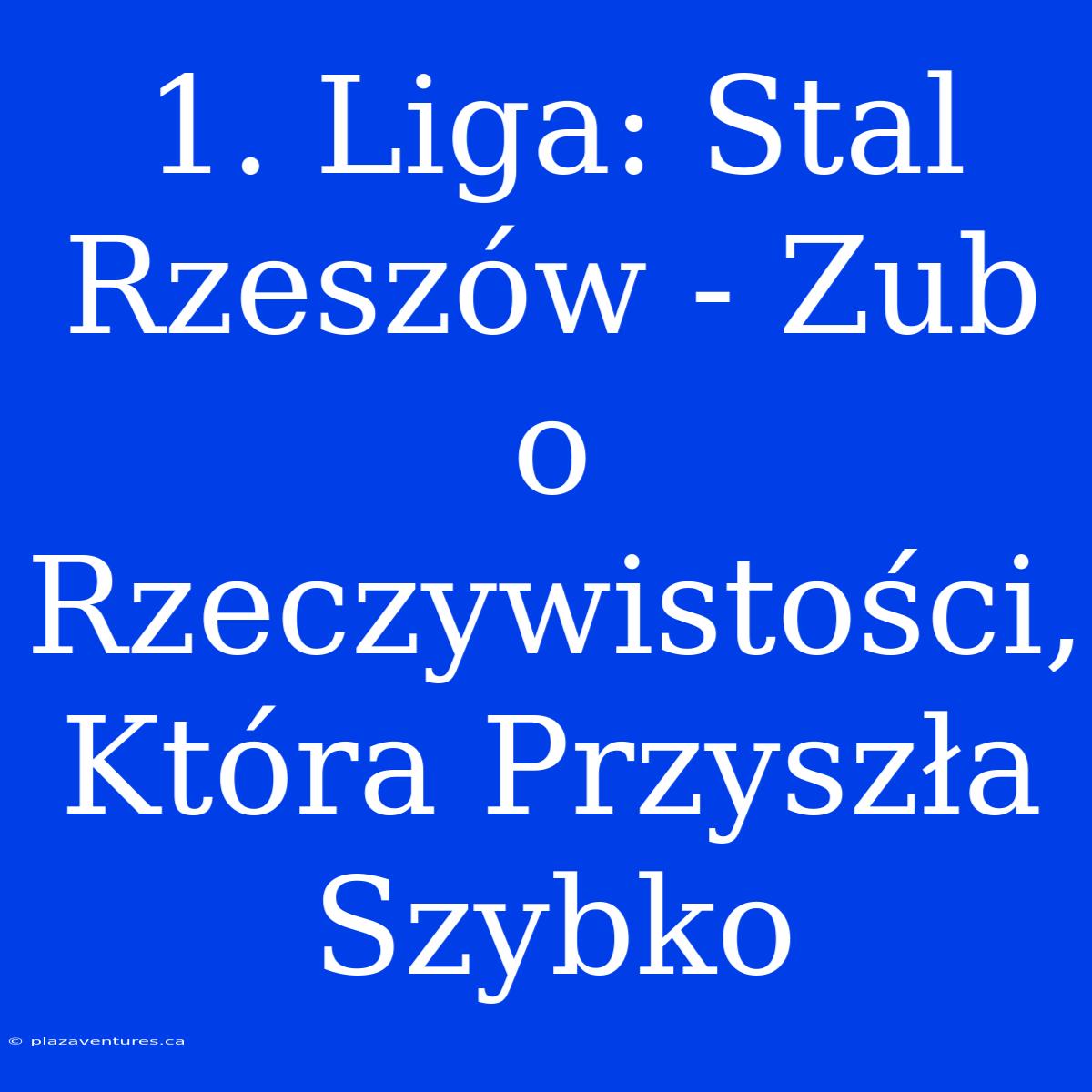 1. Liga: Stal Rzeszów - Zub O Rzeczywistości, Która Przyszła Szybko