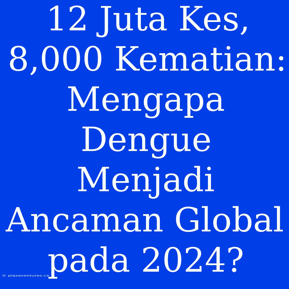 12 Juta Kes, 8,000 Kematian: Mengapa Dengue Menjadi Ancaman Global Pada 2024?