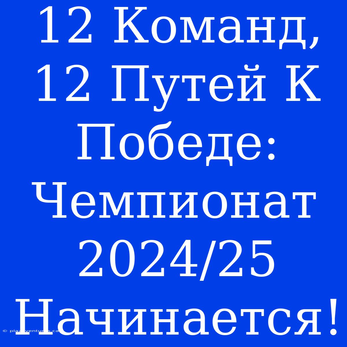 12 Команд, 12 Путей К Победе: Чемпионат 2024/25 Начинается!