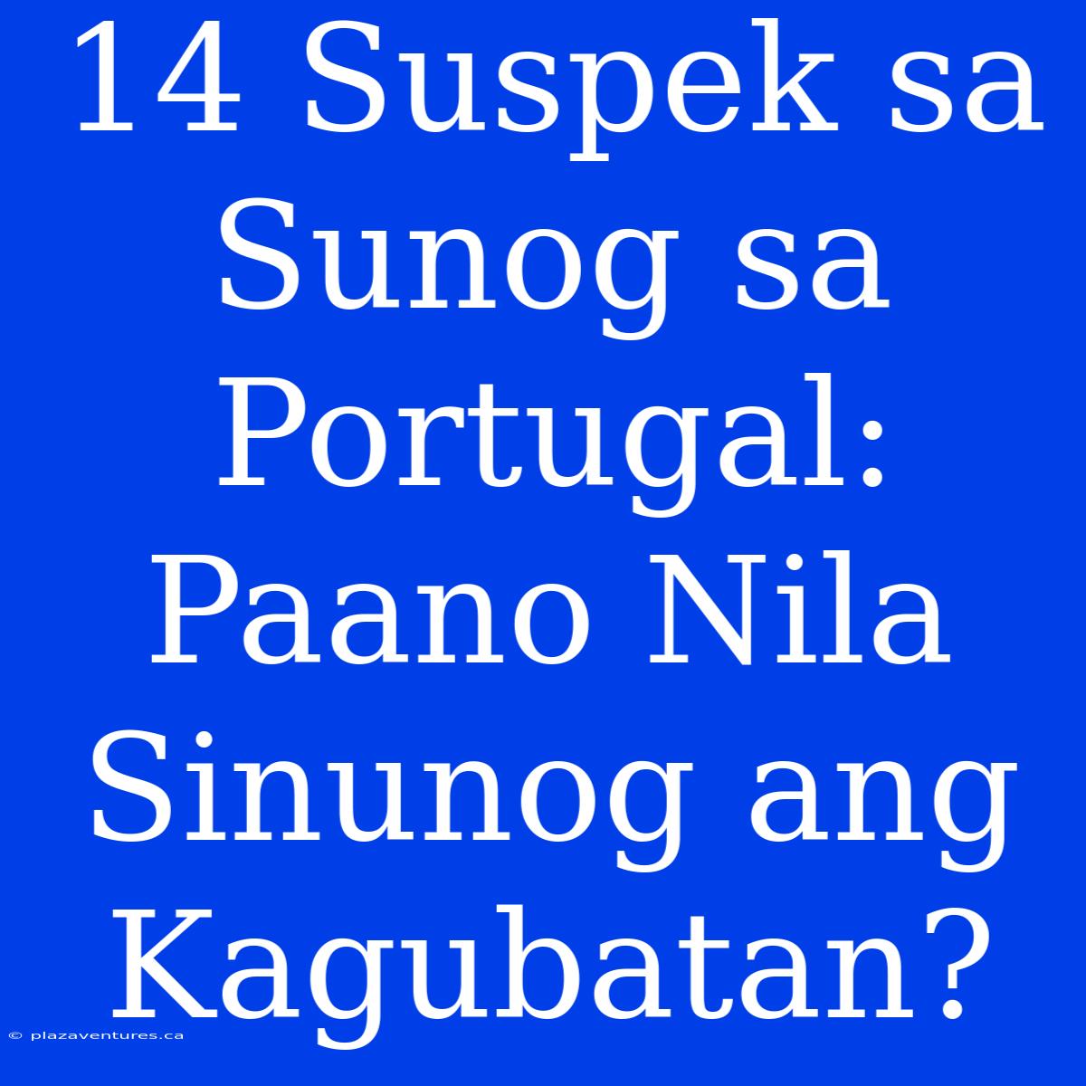 14 Suspek Sa Sunog Sa Portugal: Paano Nila Sinunog Ang Kagubatan?