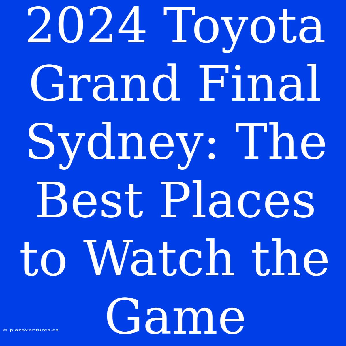 2024 Toyota Grand Final Sydney: The Best Places To Watch The Game