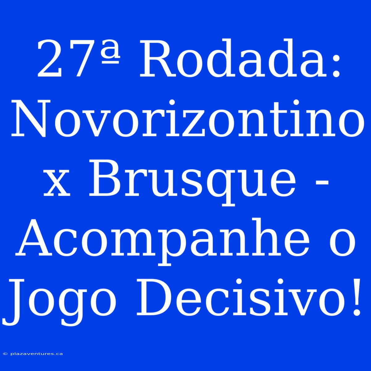 27ª Rodada: Novorizontino X Brusque - Acompanhe O Jogo Decisivo!