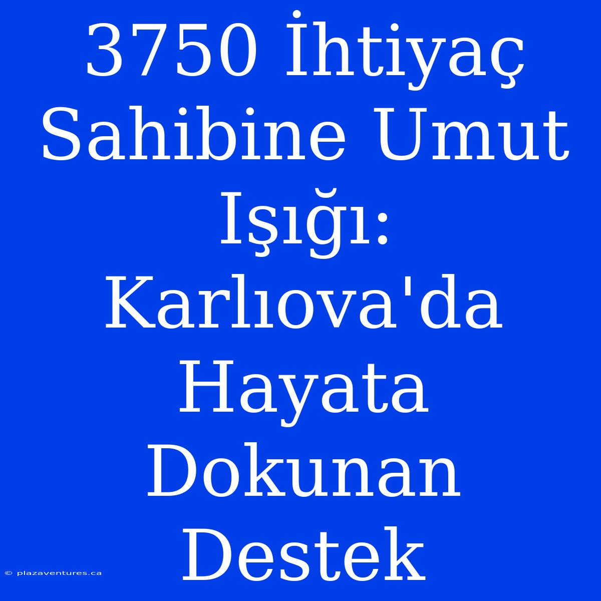 3750 İhtiyaç Sahibine Umut Işığı: Karlıova'da Hayata Dokunan Destek