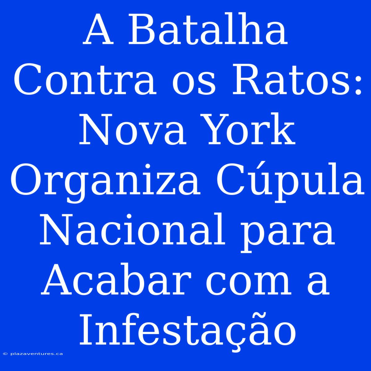 A Batalha Contra Os Ratos: Nova York Organiza Cúpula Nacional Para Acabar Com A Infestação