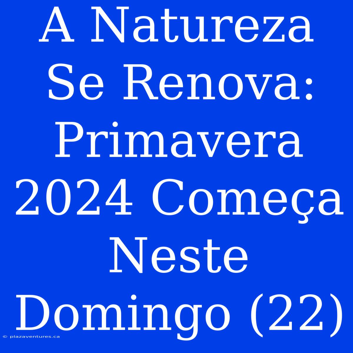 A Natureza Se Renova: Primavera 2024 Começa Neste Domingo (22)