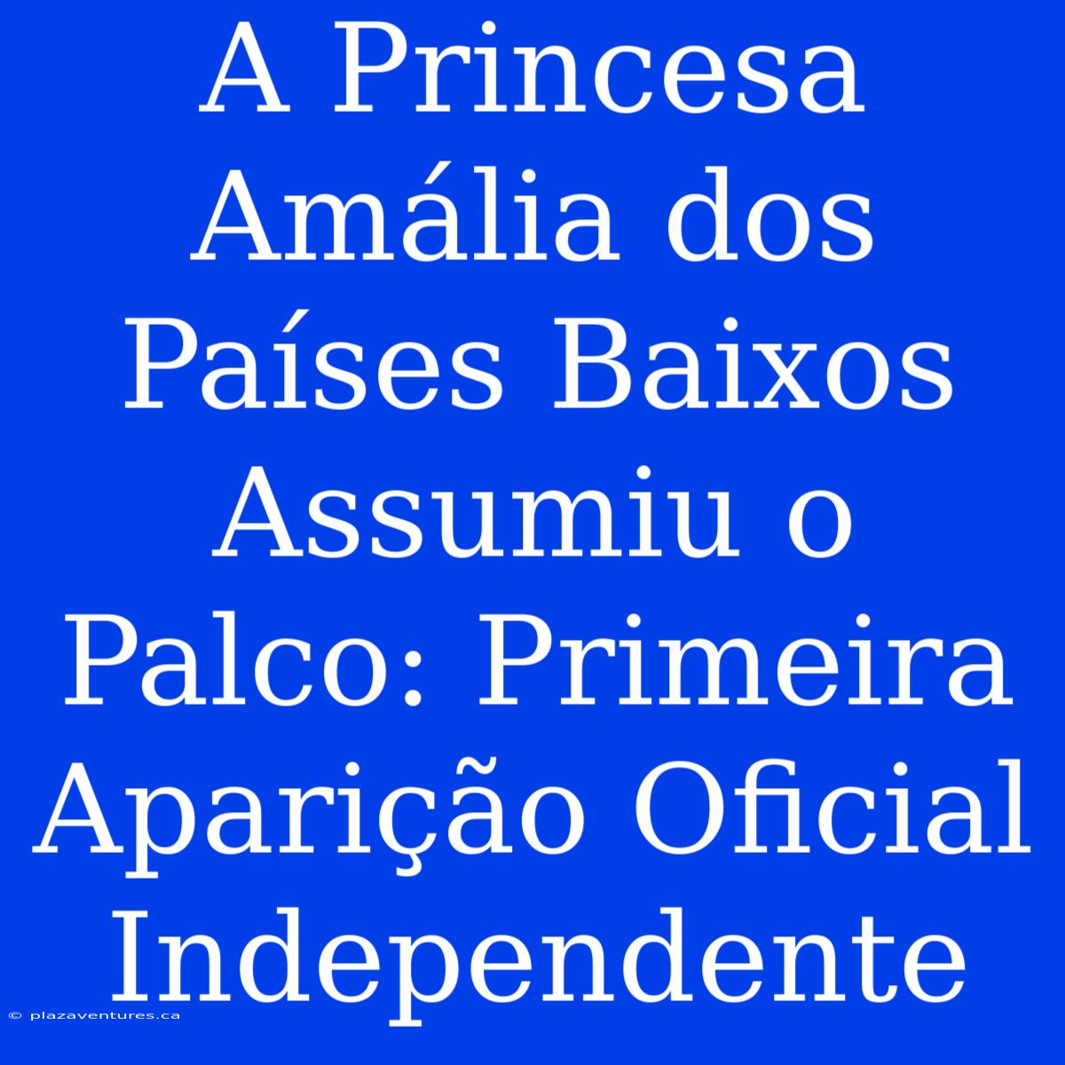 A Princesa Amália Dos Países Baixos Assumiu O Palco: Primeira Aparição Oficial Independente