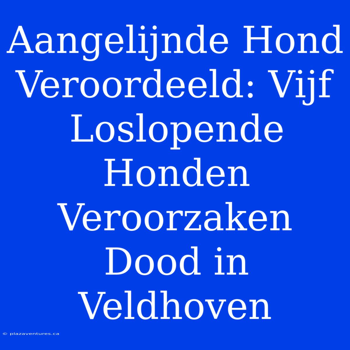 Aangelijnde Hond Veroordeeld: Vijf Loslopende Honden Veroorzaken Dood In Veldhoven