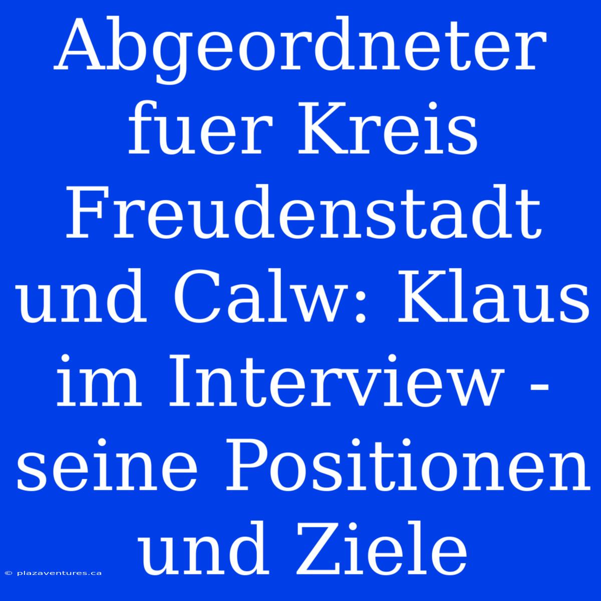 Abgeordneter Fuer Kreis Freudenstadt Und Calw: Klaus Im Interview - Seine Positionen Und Ziele