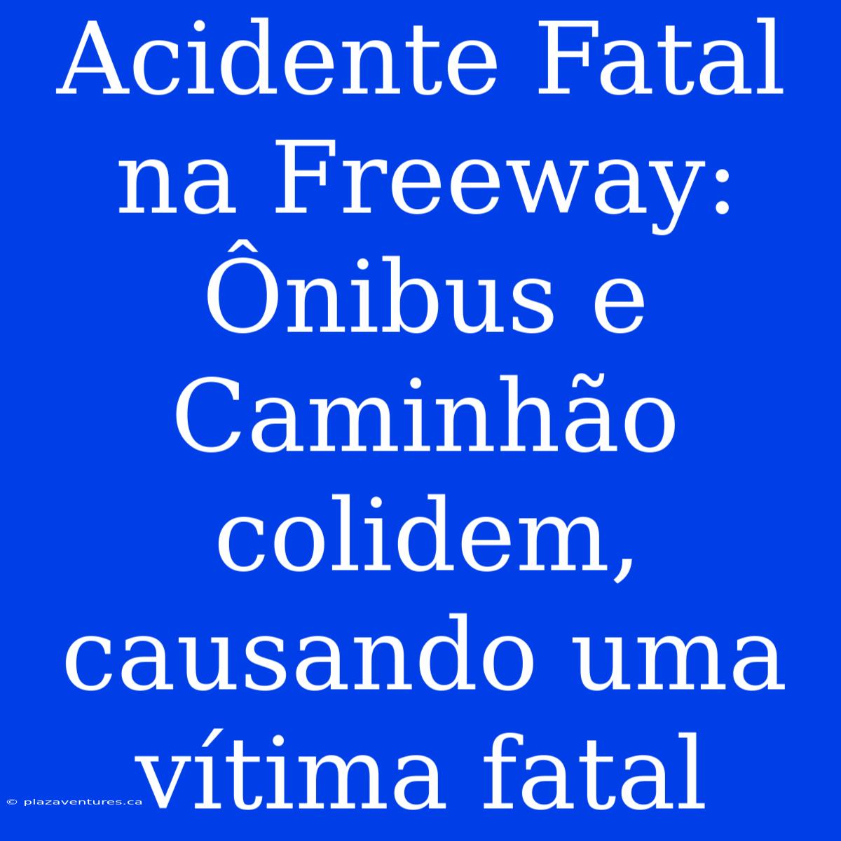 Acidente Fatal Na Freeway: Ônibus E Caminhão Colidem, Causando Uma Vítima Fatal