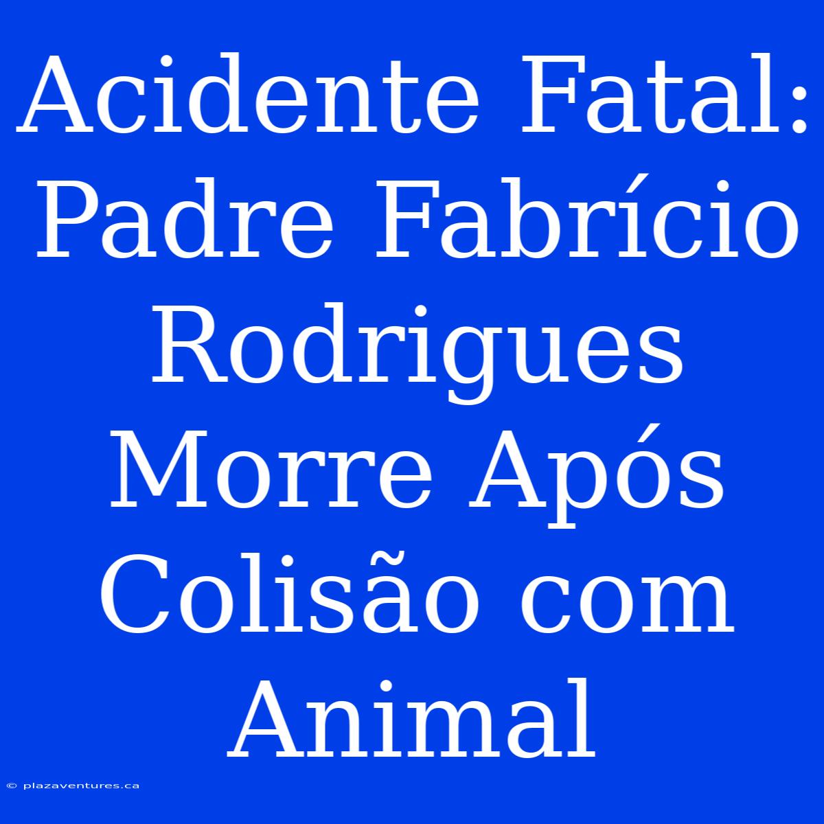 Acidente Fatal: Padre Fabrício Rodrigues Morre Após Colisão Com Animal