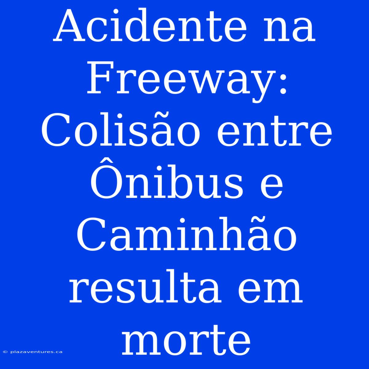 Acidente Na Freeway: Colisão Entre Ônibus E Caminhão Resulta Em Morte