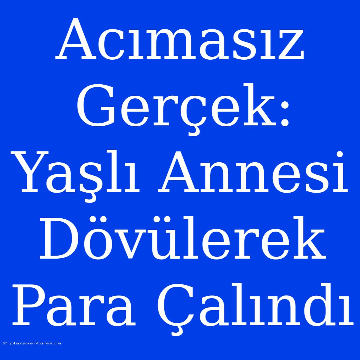 Acımasız Gerçek: Yaşlı Annesi Dövülerek Para Çalındı