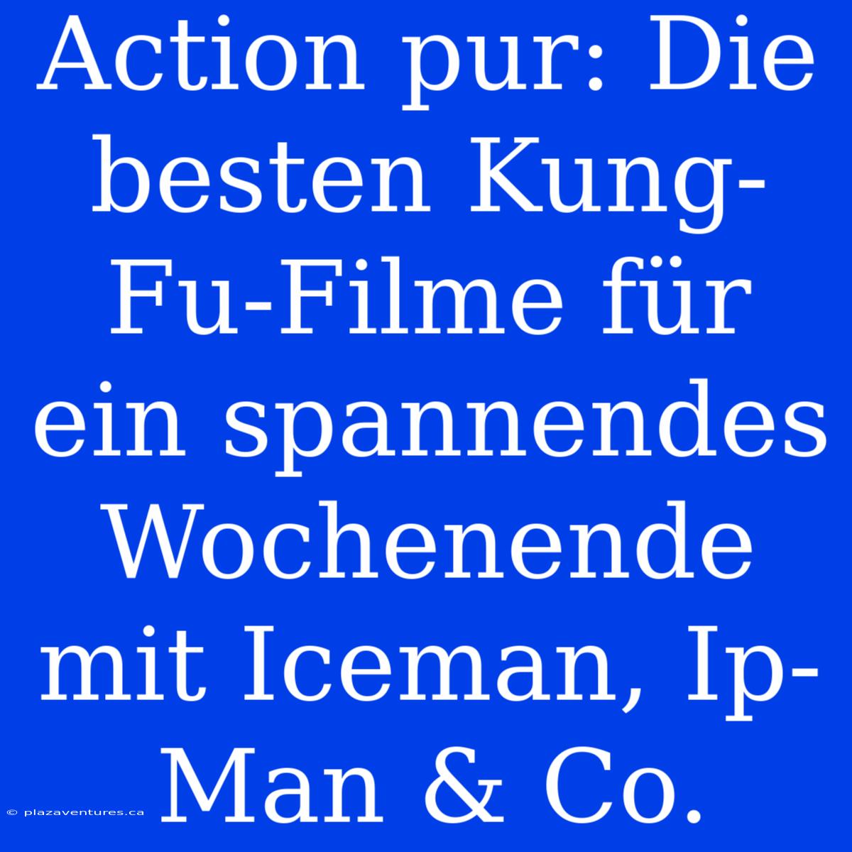 Action Pur: Die Besten Kung-Fu-Filme Für Ein Spannendes Wochenende Mit Iceman, Ip-Man & Co.