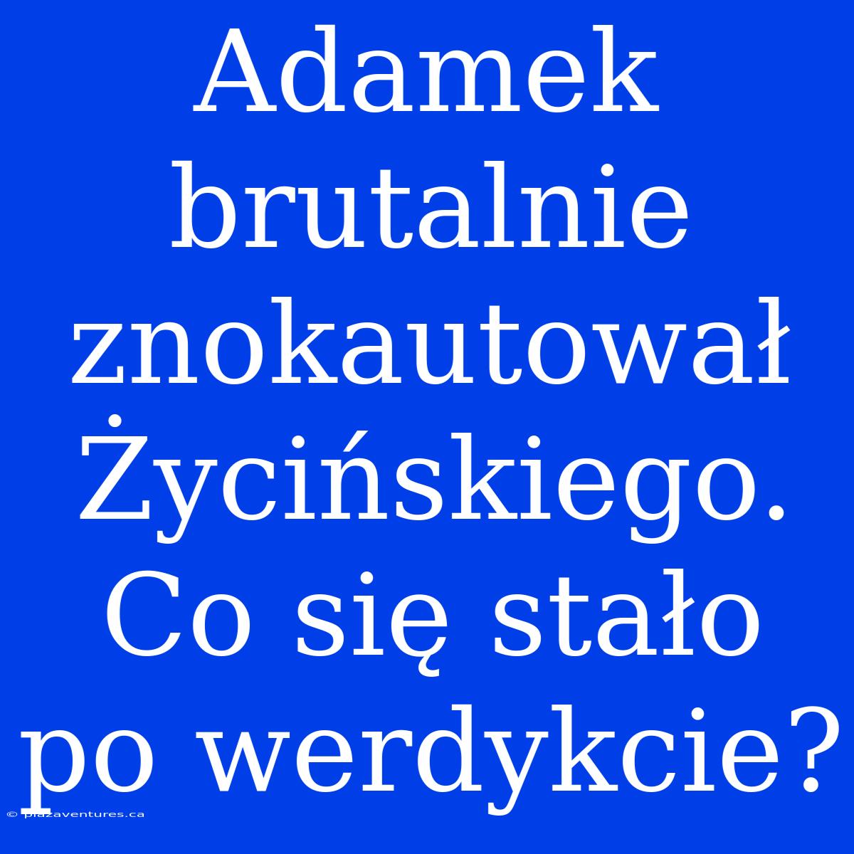 Adamek Brutalnie Znokautował Życińskiego. Co Się Stało Po Werdykcie?