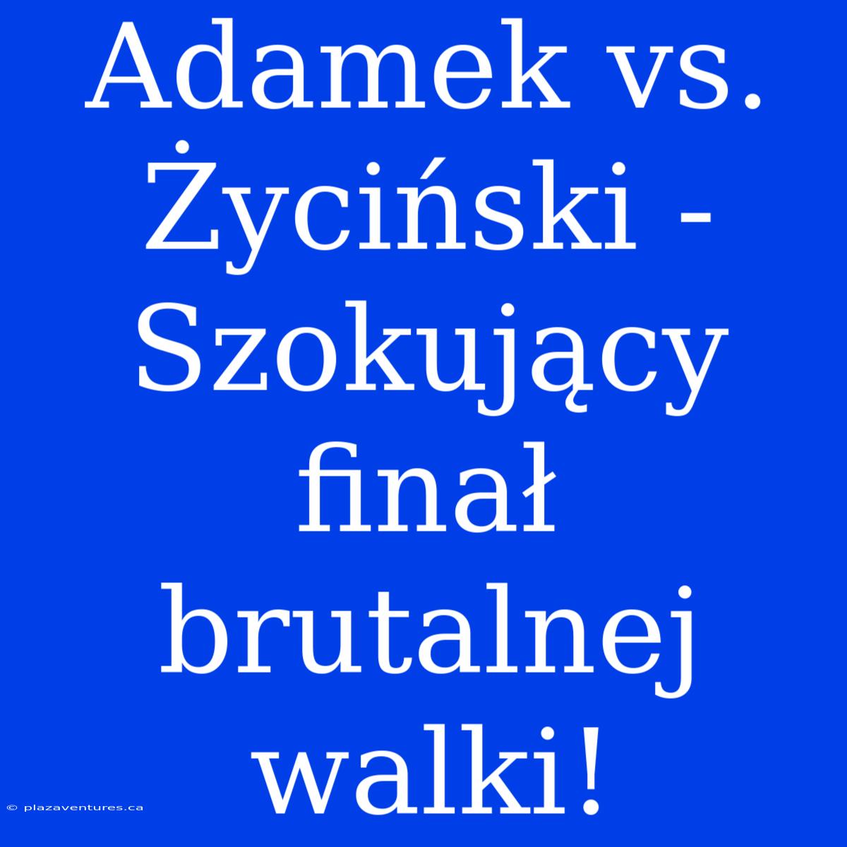 Adamek Vs. Życiński - Szokujący Finał Brutalnej Walki!