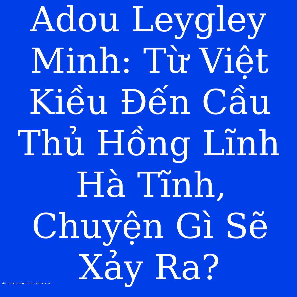 Adou Leygley Minh: Từ Việt Kiều Đến Cầu Thủ Hồng Lĩnh Hà Tĩnh, Chuyện Gì Sẽ Xảy Ra?