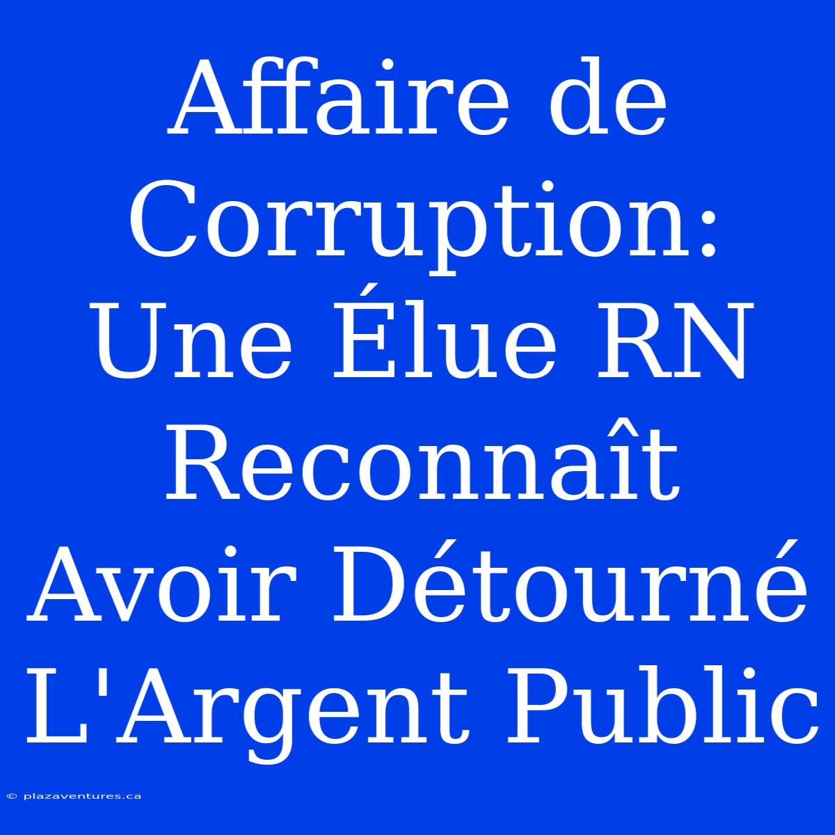 Affaire De Corruption: Une Élue RN Reconnaît Avoir Détourné L'Argent Public