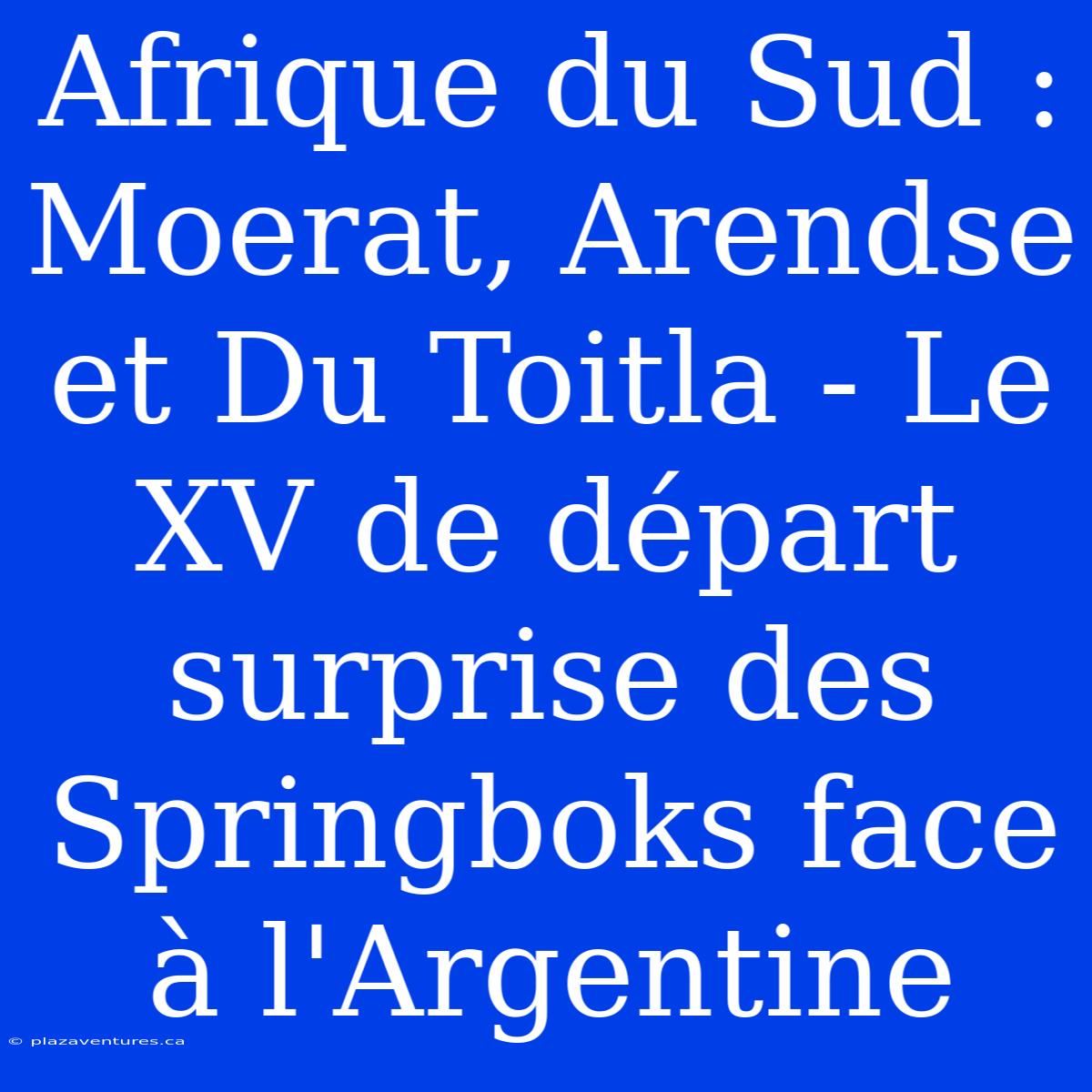 Afrique Du Sud : Moerat, Arendse Et Du Toitla - Le XV De Départ Surprise Des Springboks Face À L'Argentine