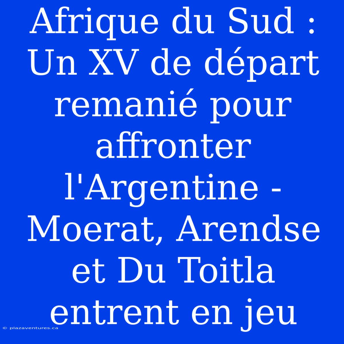 Afrique Du Sud : Un XV De Départ Remanié Pour Affronter L'Argentine - Moerat, Arendse Et Du Toitla Entrent En Jeu