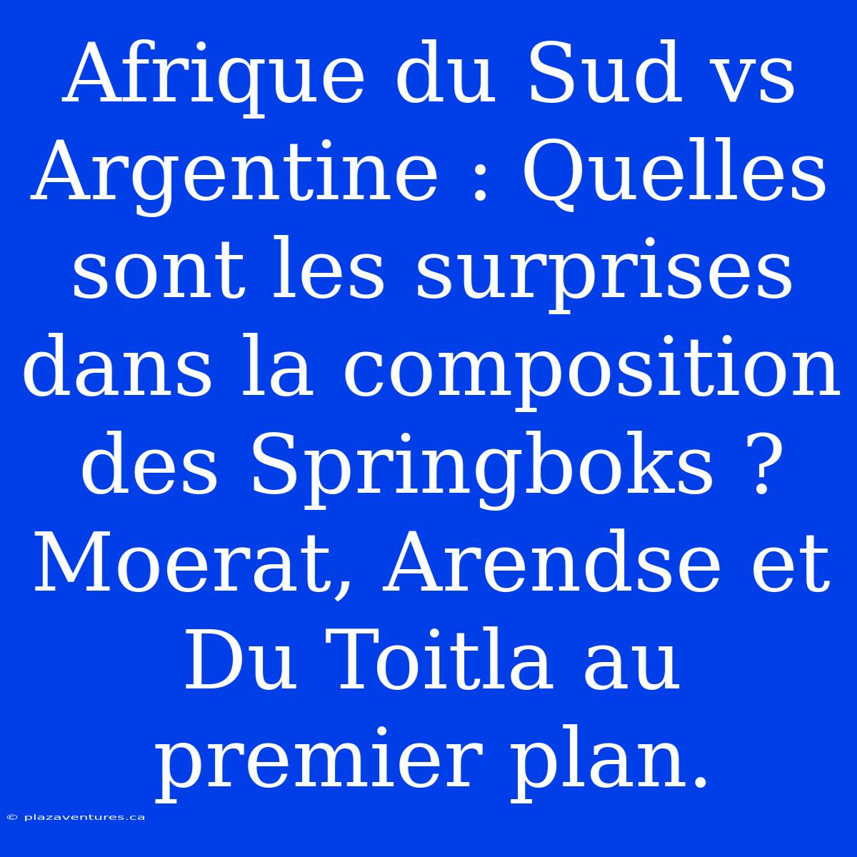 Afrique Du Sud Vs Argentine : Quelles Sont Les Surprises Dans La Composition Des Springboks ?  Moerat, Arendse Et Du Toitla Au Premier Plan.