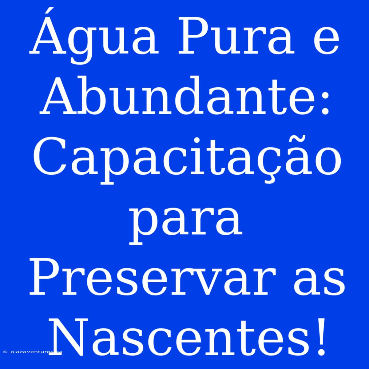 Água Pura E Abundante: Capacitação Para Preservar As Nascentes!