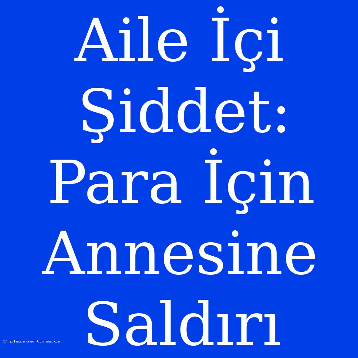 Aile İçi Şiddet: Para İçin Annesine Saldırı