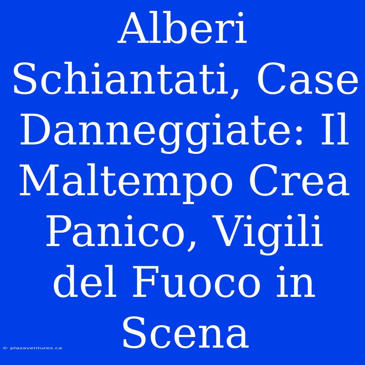 Alberi Schiantati, Case Danneggiate: Il Maltempo Crea Panico, Vigili Del Fuoco In Scena