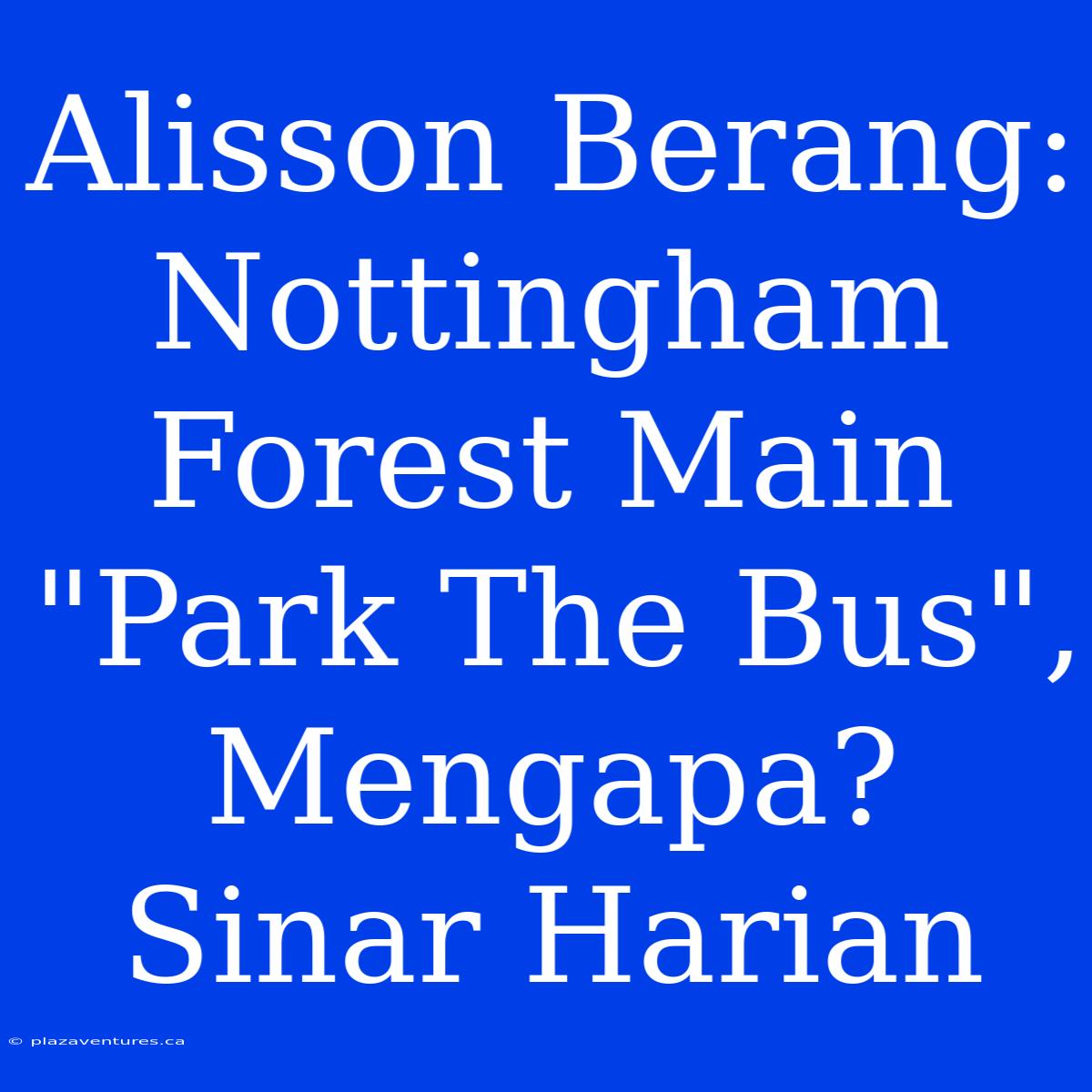 Alisson Berang: Nottingham Forest Main 