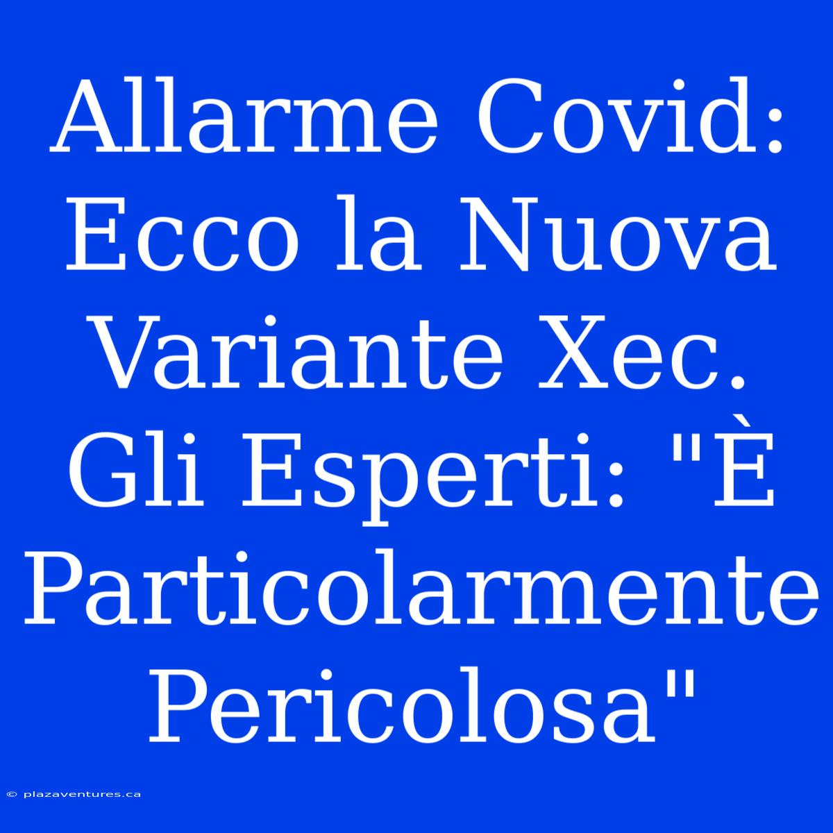 Allarme Covid: Ecco La Nuova Variante Xec. Gli Esperti: 