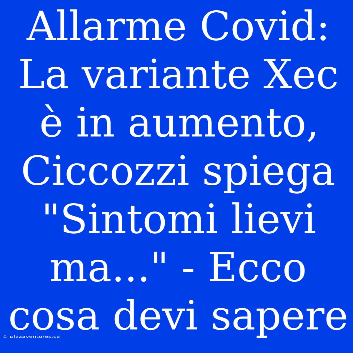 Allarme Covid: La Variante Xec È In Aumento, Ciccozzi Spiega 