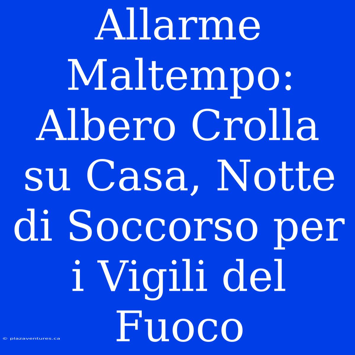 Allarme Maltempo: Albero Crolla Su Casa, Notte Di Soccorso Per I Vigili Del Fuoco