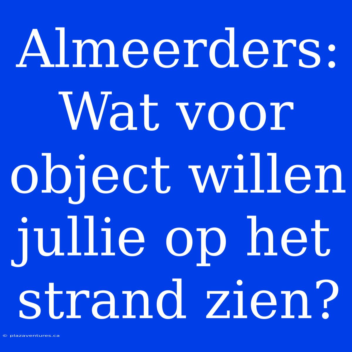 Almeerders: Wat Voor Object Willen Jullie Op Het Strand Zien?