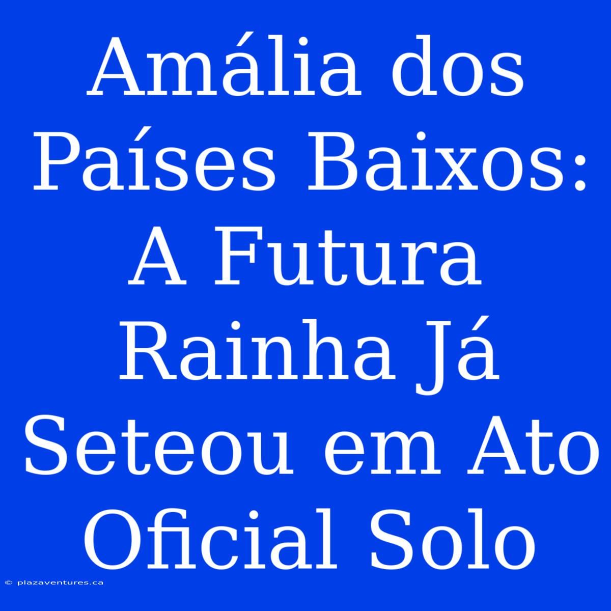 Amália Dos Países Baixos: A Futura Rainha Já Seteou Em Ato Oficial Solo