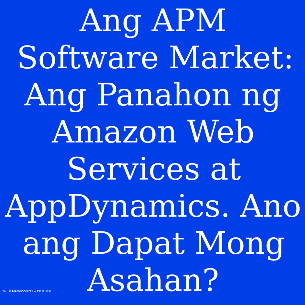 Ang APM Software Market: Ang Panahon Ng Amazon Web Services At AppDynamics. Ano Ang Dapat Mong Asahan?