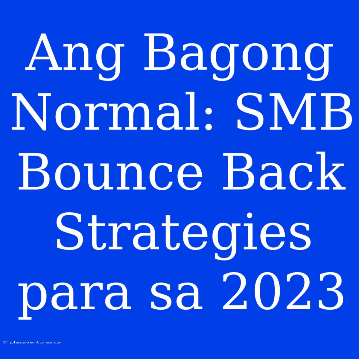 Ang Bagong Normal: SMB Bounce Back Strategies Para Sa 2023