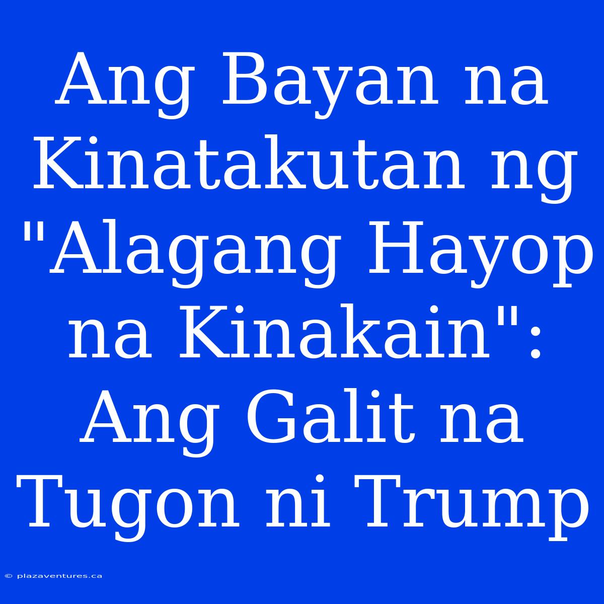 Ang Bayan Na Kinatakutan Ng 