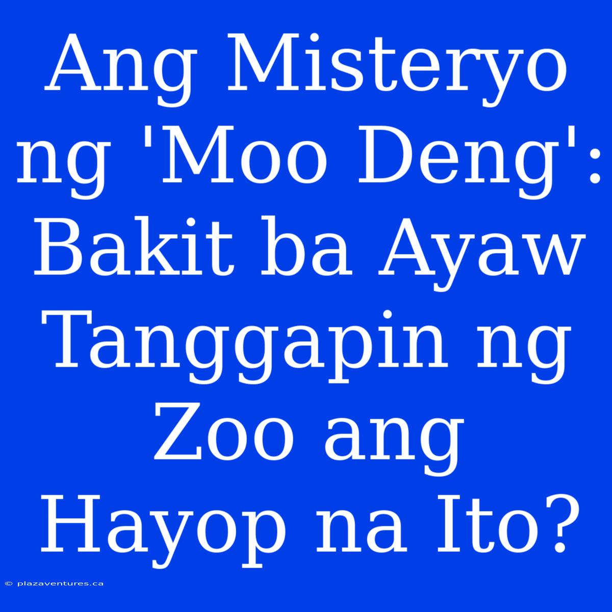 Ang Misteryo Ng 'Moo Deng': Bakit Ba Ayaw Tanggapin Ng Zoo Ang Hayop Na Ito?