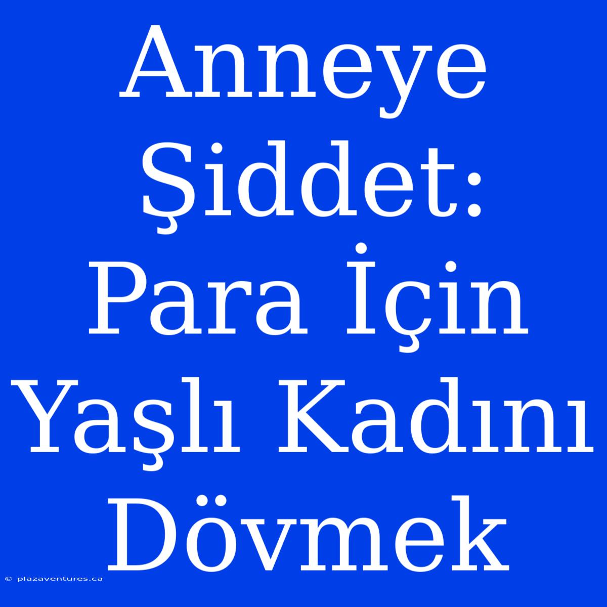 Anneye Şiddet: Para İçin Yaşlı Kadını Dövmek