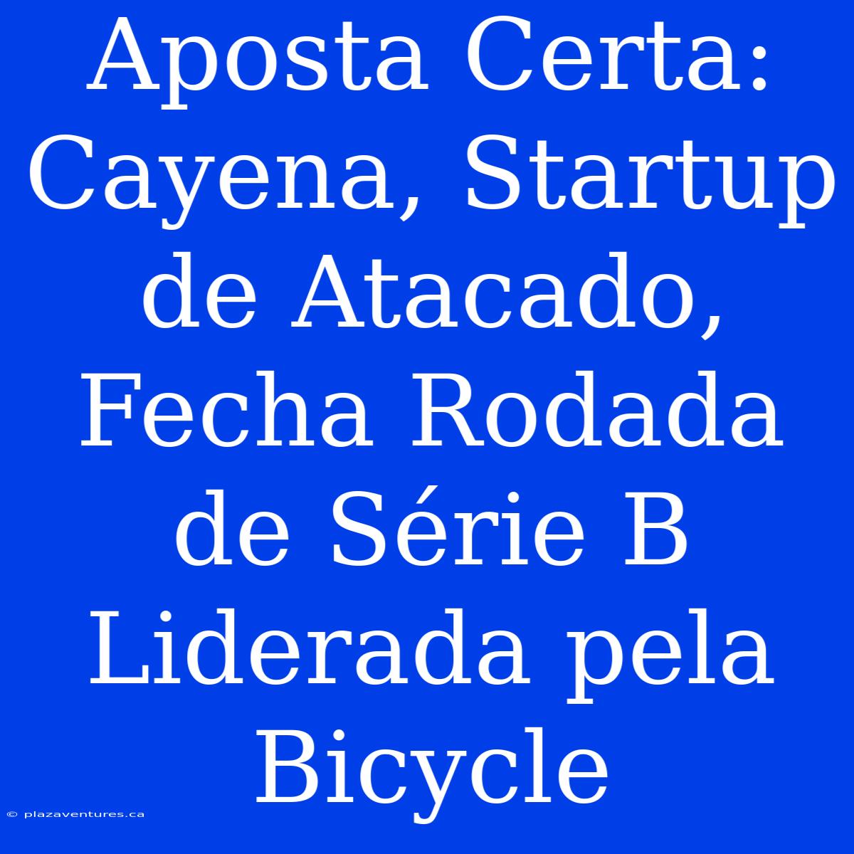 Aposta Certa: Cayena, Startup De Atacado, Fecha Rodada De Série B Liderada Pela Bicycle