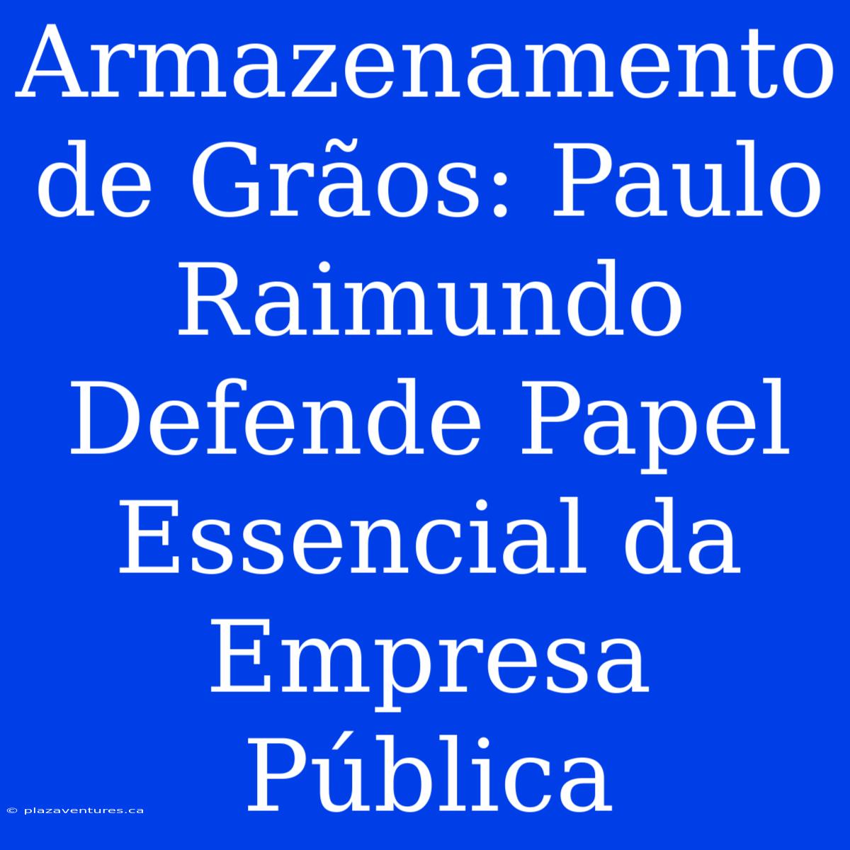 Armazenamento De Grãos: Paulo Raimundo Defende Papel Essencial Da Empresa Pública