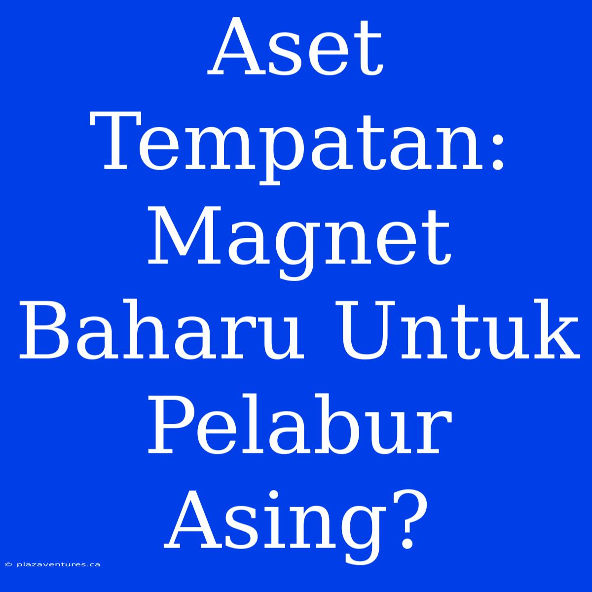 Aset Tempatan: Magnet Baharu Untuk Pelabur Asing?