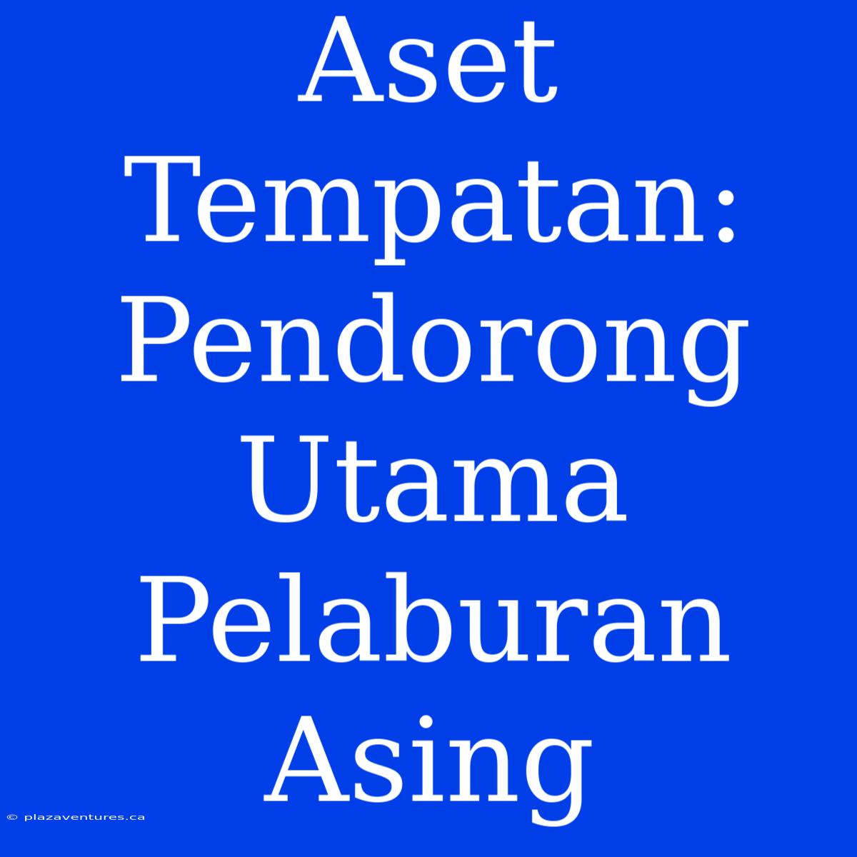 Aset Tempatan: Pendorong Utama Pelaburan Asing