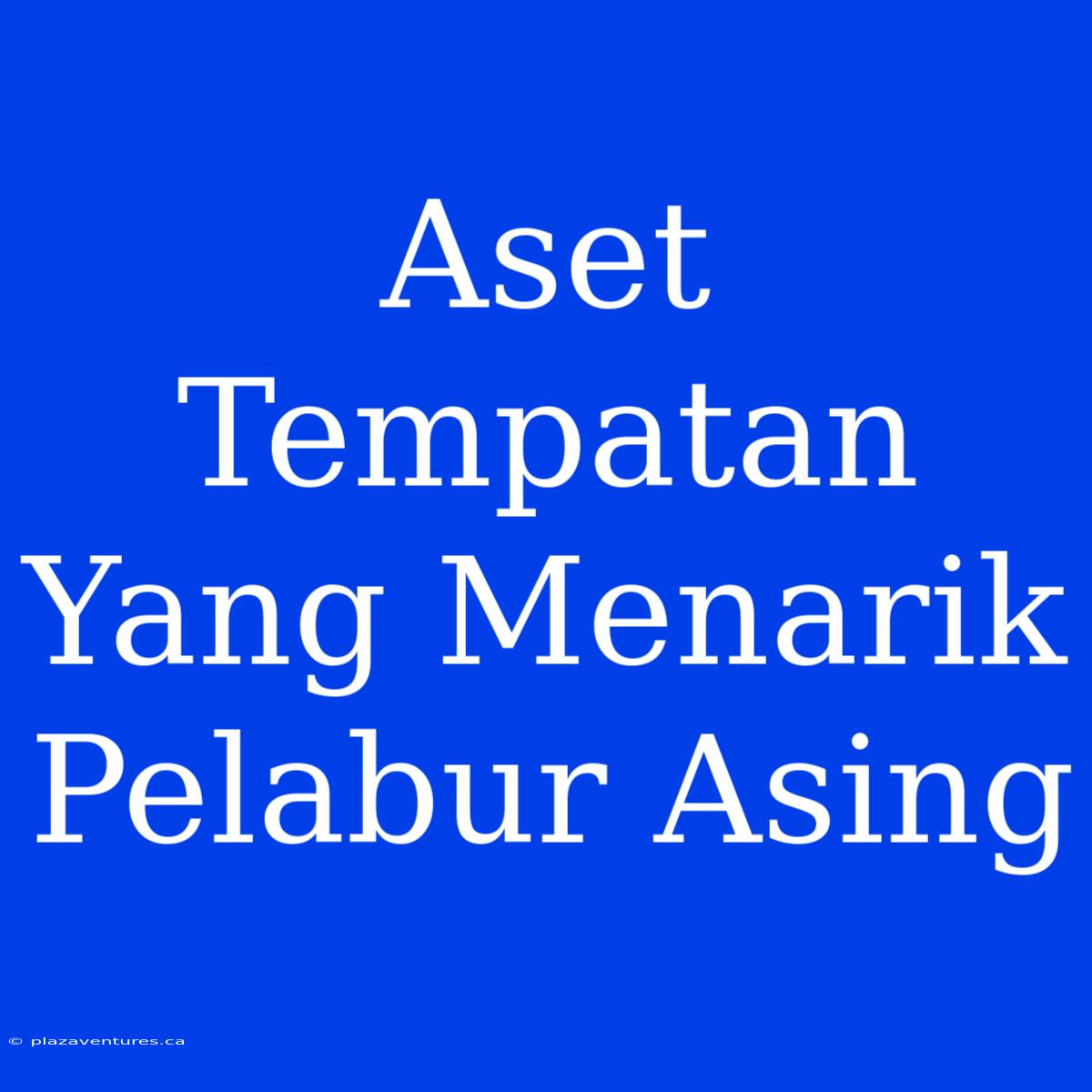 Aset Tempatan Yang Menarik Pelabur Asing