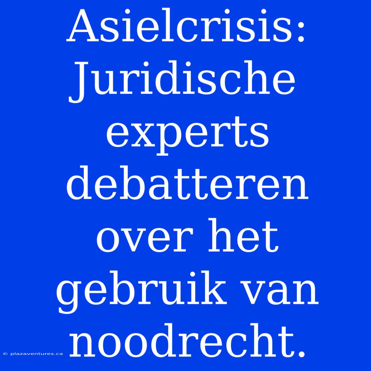 Asielcrisis: Juridische Experts Debatteren Over Het Gebruik Van Noodrecht.