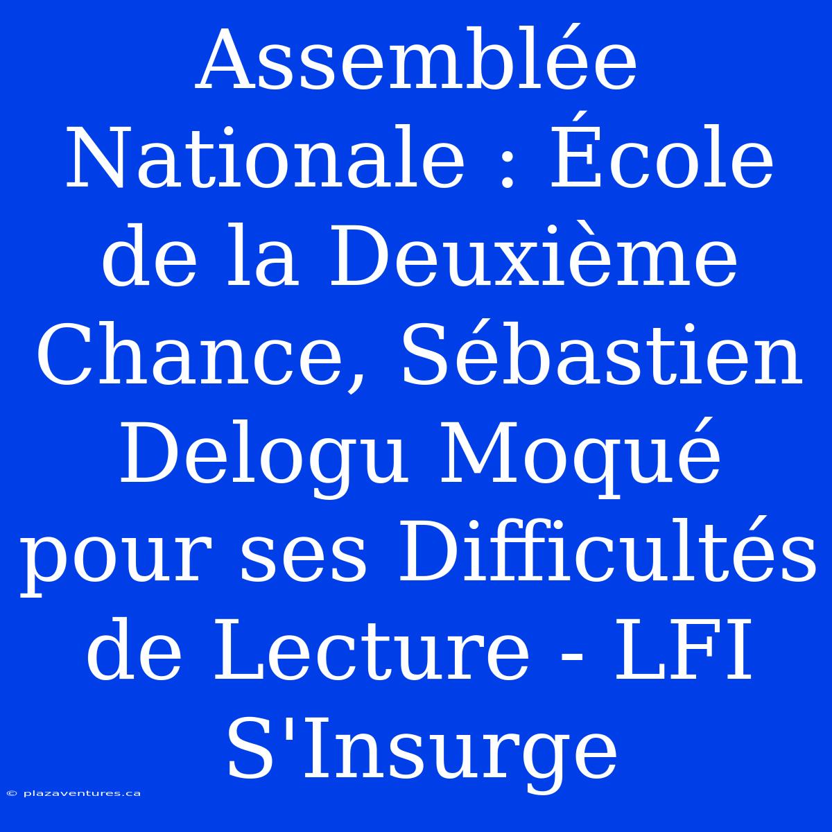 Assemblée Nationale : École De La Deuxième Chance, Sébastien Delogu Moqué Pour Ses Difficultés De Lecture - LFI S'Insurge