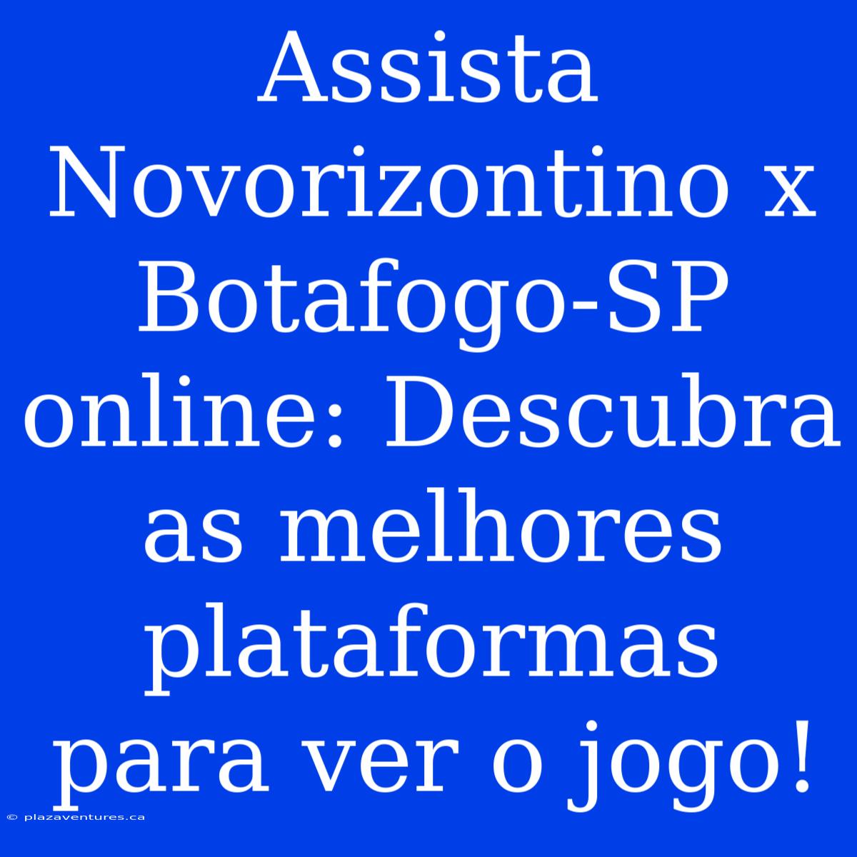 Assista Novorizontino X Botafogo-SP Online: Descubra As Melhores Plataformas Para Ver O Jogo!